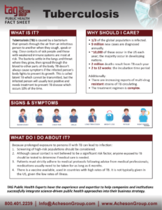 Tuberculosis Fact Sheet