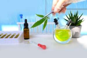 medical marijuana laboratory scientific research, green cannabis plants, extract production concept, cannabidiol oil, drug trafficking, people drug addiction problems
