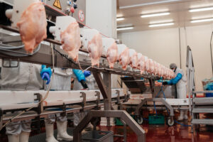 Meat processing plant.Industrial equipment at a meat factory.Modern poultry processing plant.People working at a chicken factory – stock photo.Automated production line in modern food factory.