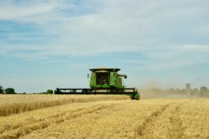 combine-harvesting-wheat-2022-11-16-00-04-44-utc