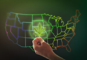 A female hand holds a cannabis leaf on a background of the USA m