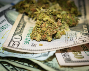 US Currency $50 bills & Marijuana Buds