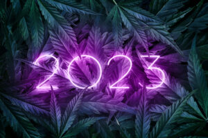 Cannabis 2023