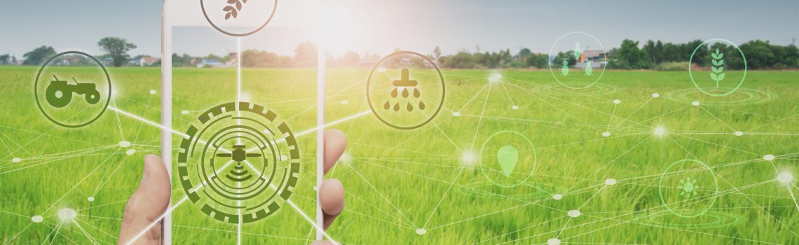 smart farmer holding smartphone,rice fields production control,concept agricultural product control technology,to agriculture future trading world market,track productivity,satellite for Agriculture